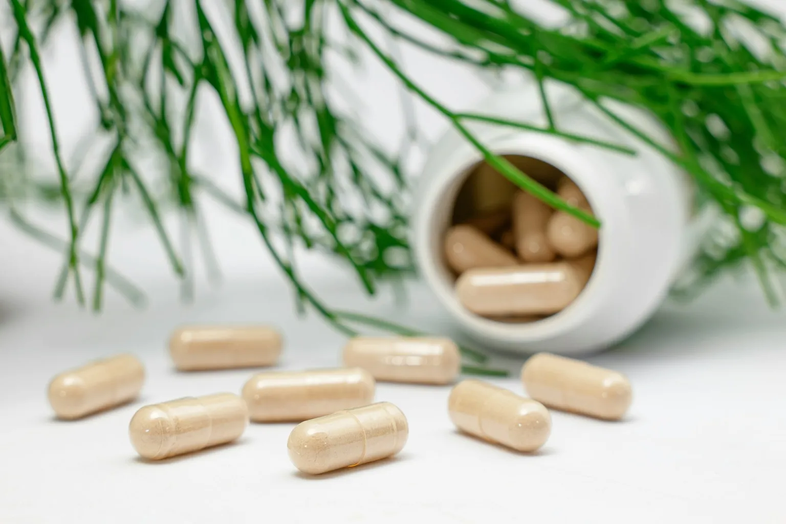 Pale capsules spilling from a white bottle beside green blades